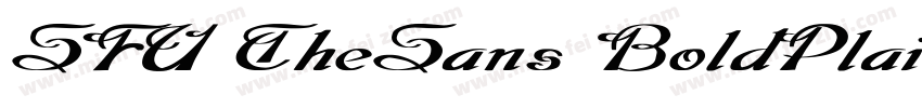 SFU TheSans BoldPlain字体转换